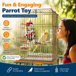 Layered bird climbing and foraging toy hanging setup