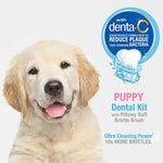 Nylabone soft bristle puppy toothbrush close up