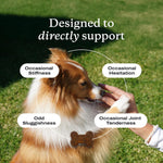 PetLab Co. Joint Care Chews soft canine supplement pieces outside the bottle