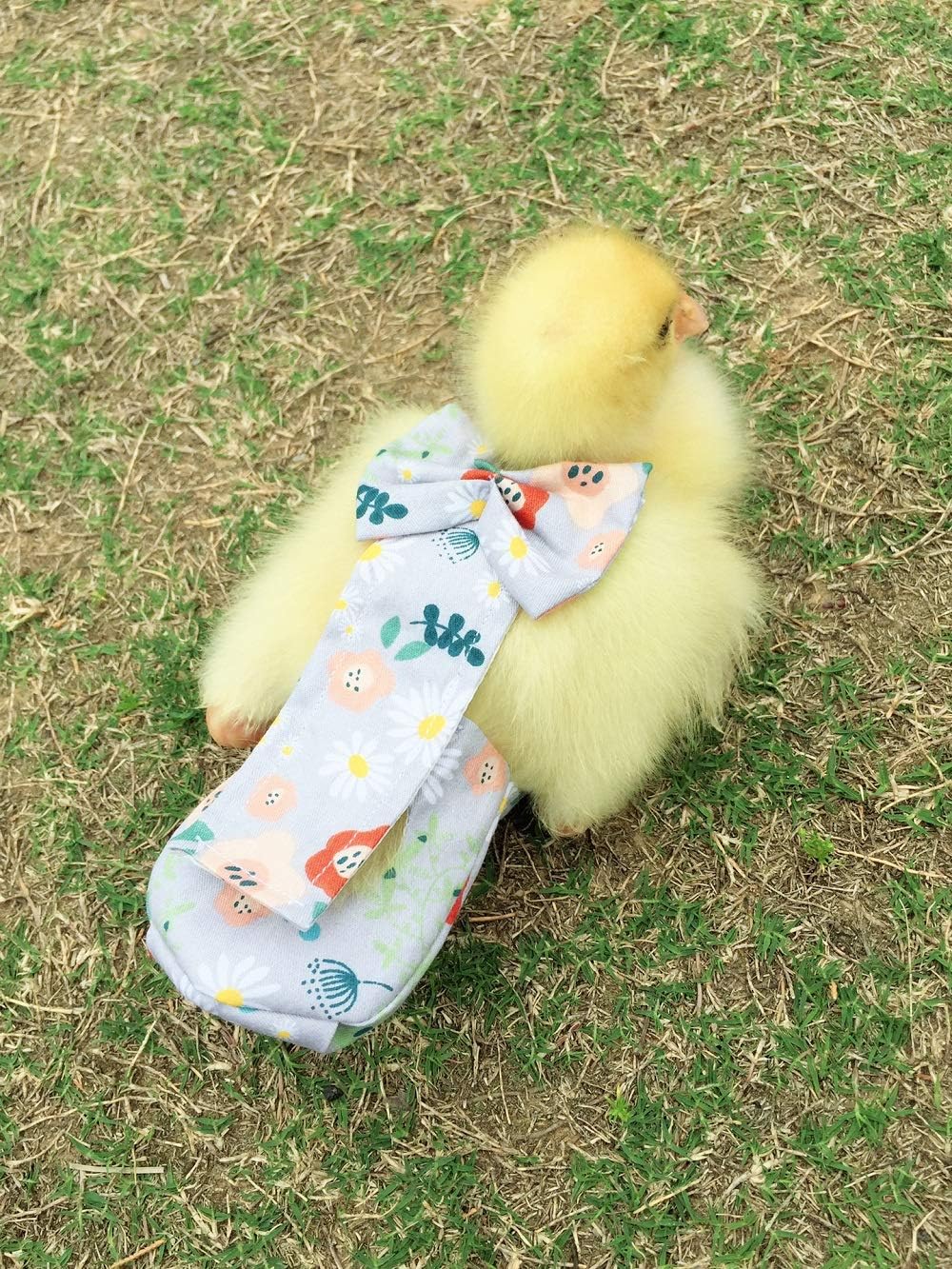 HEZHUO pet bird diaper with a pocket for disposable absorbent pads