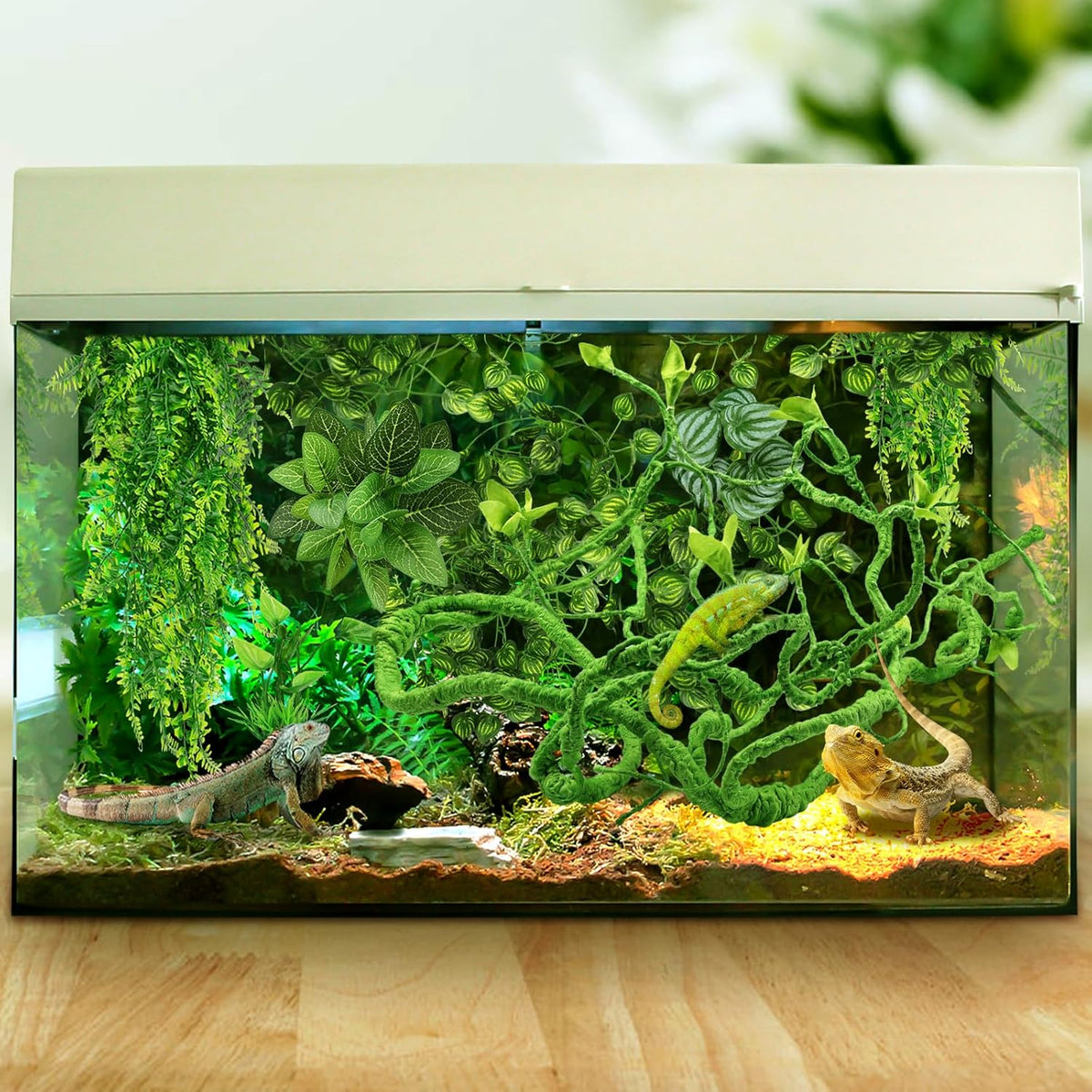 Quozuo reptile hide and decor bundle in packaging.