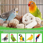 Kyouki bird chew toys highlighting safe apple wood and pine cones.