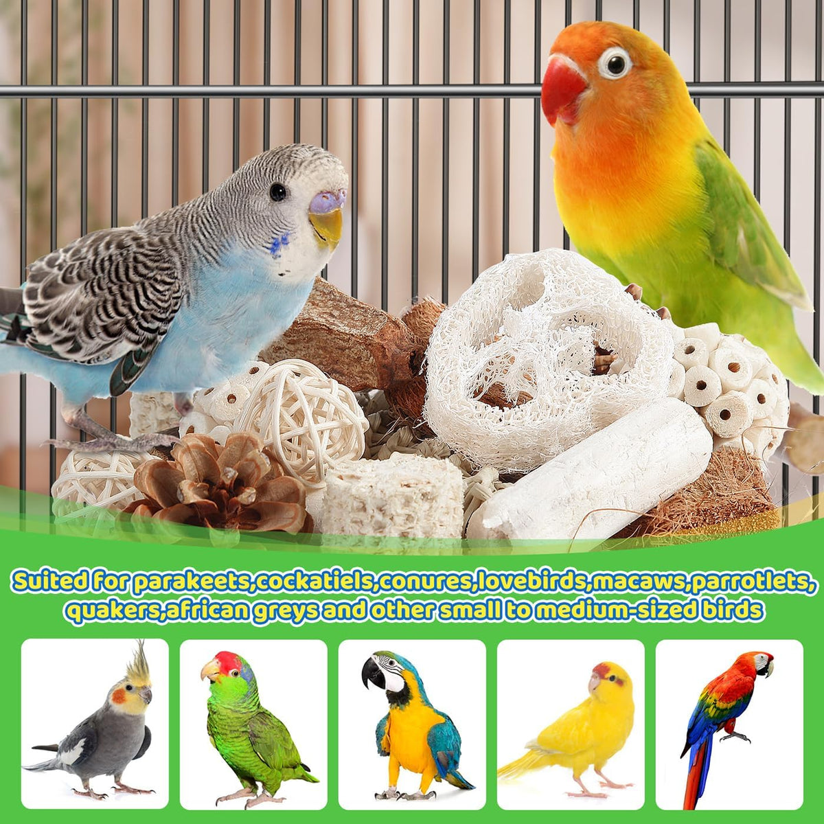 Kyouki bird chew toys highlighting safe apple wood and pine cones.