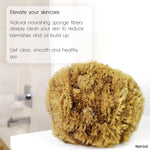 Natural skin exfoliating sponge packaging view