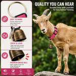 Gindoor multi colored livestock collar package for tracking small farm goats and sheep