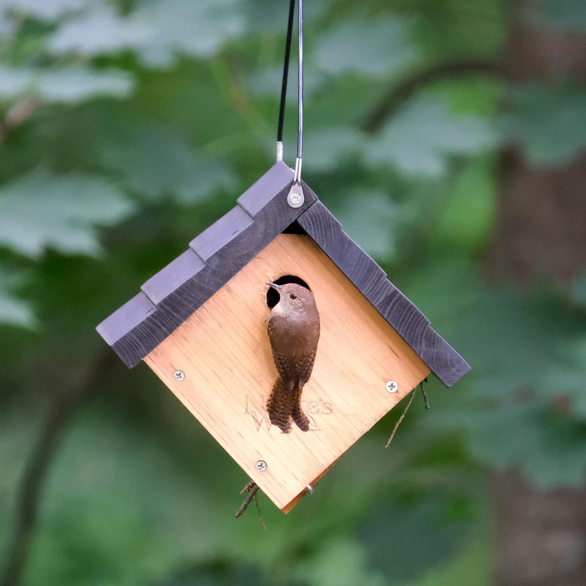 Natures Way Cedar Wren House packaging and brand label