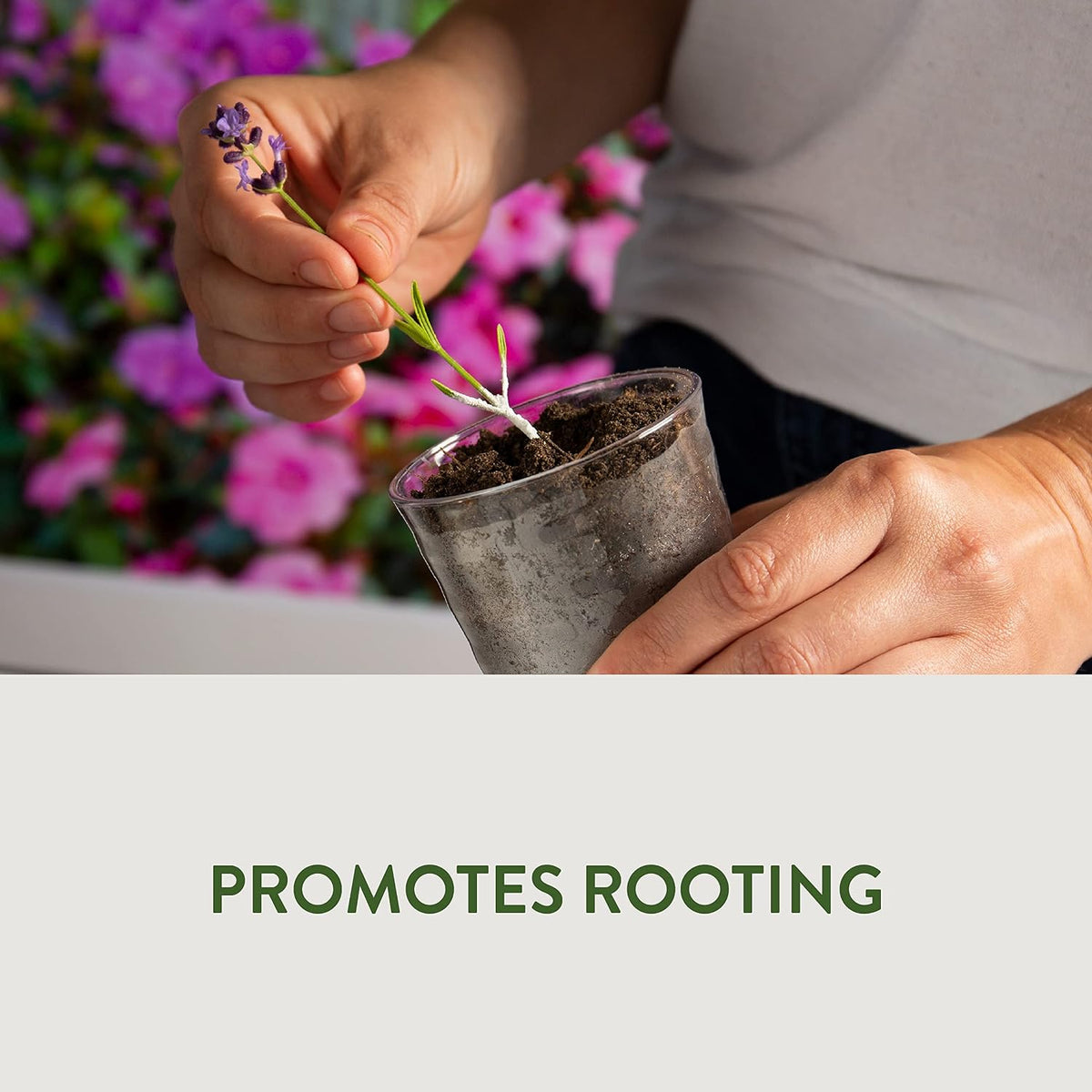 Garden Safe Take Root Rooting Hormone 2 Oz, Promotes Rooting - Image 12