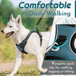Eagloo large dog harness featuring reflective safety strips