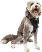 Kurgo Tru-Fit Smart Dog Walking Harness - Comfortable Fit - Adjustable Harness - Reflective Pet Wear - Quick Strap Release - Daily Walk Accessory - Includes Seat Belt Loop - Black - Large - Image 11