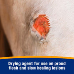 Farnam Wonder Dust powder used for proud flesh management