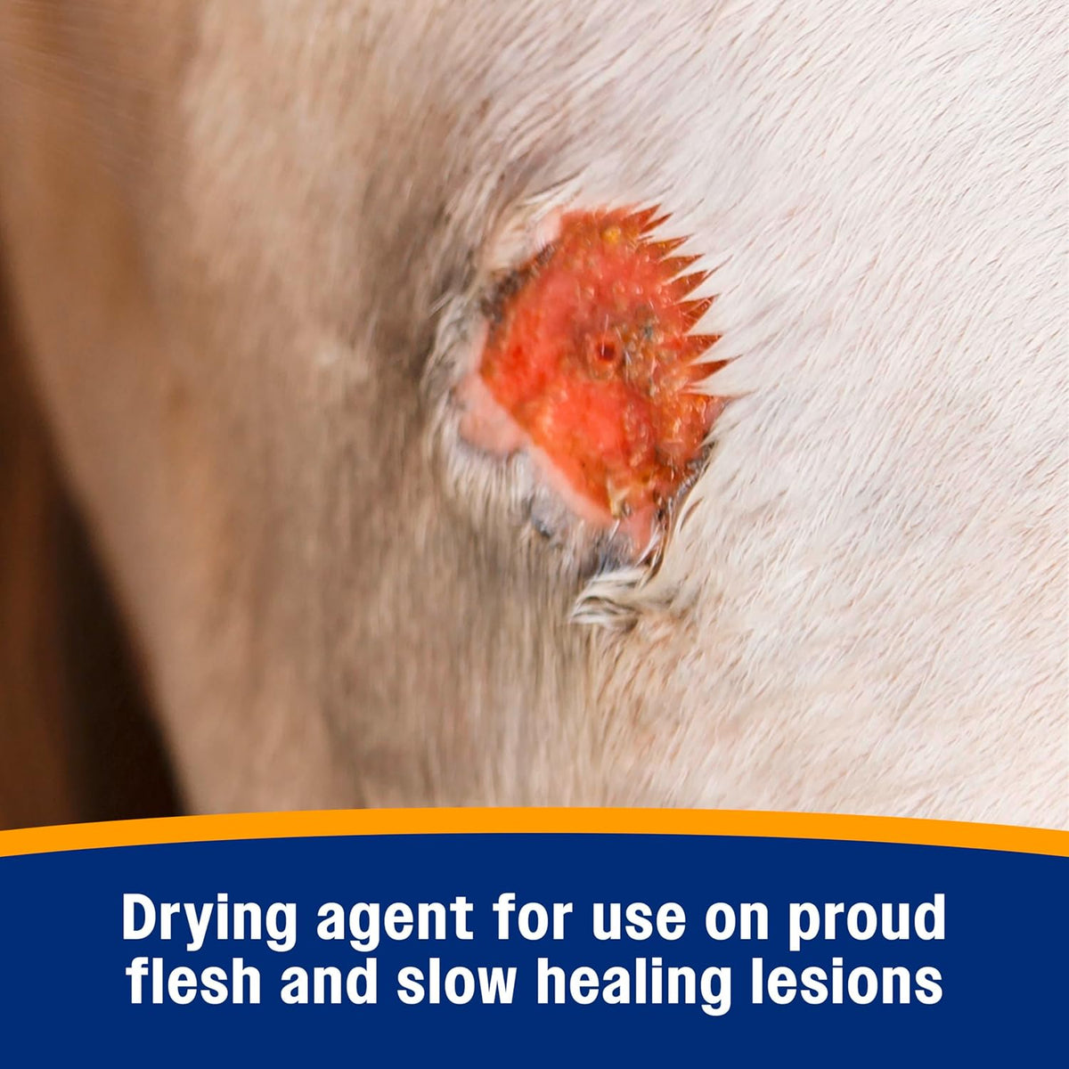 Farnam Wonder Dust powder used for proud flesh management