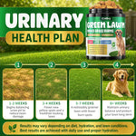 Kinpur Pet Care digestive enzymes and cranberry dog bladder health chews.