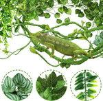 Close up of flexible bendable jungle vine for reptile terrariums.