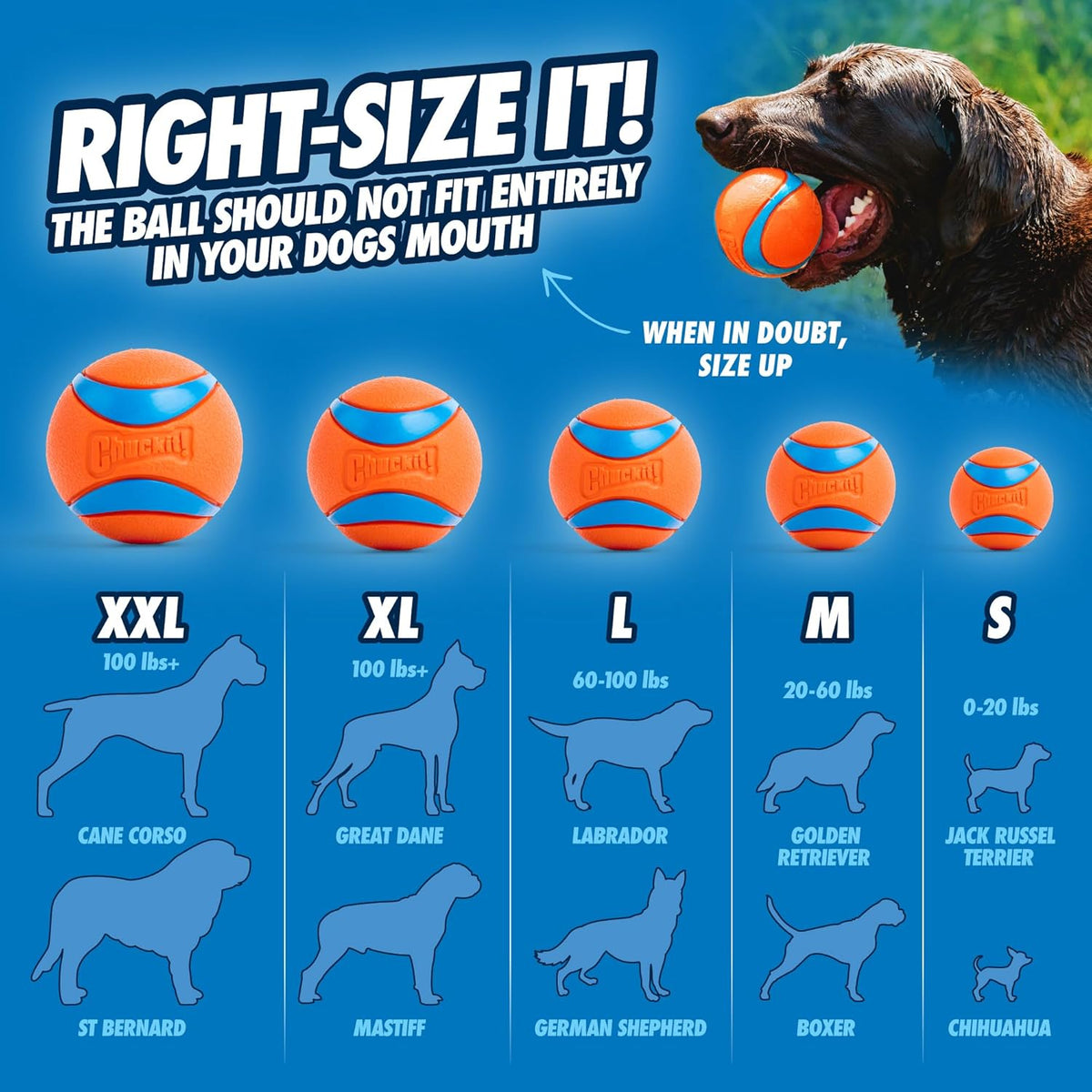 Chuckit! Ultra Ball used for outdoor dog play