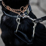 Herm Sprenger dog leash safety strap metal hardware detail