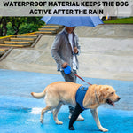 Waterproof dog sleeve for wound protection on paw