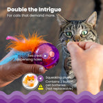 Cat playing with purple hamster ball puzzle