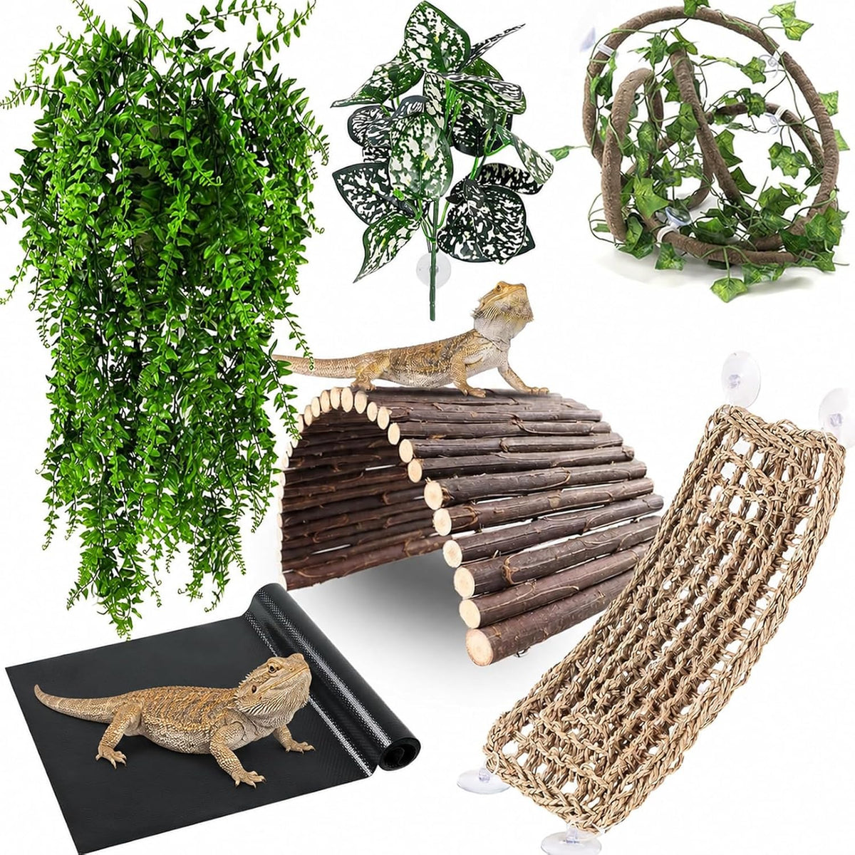 Suction cup mounting for reptile enclosure accessories