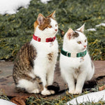 ARING PET festive kitten collar set demonstrating the lightweight fabric and soft texture.
