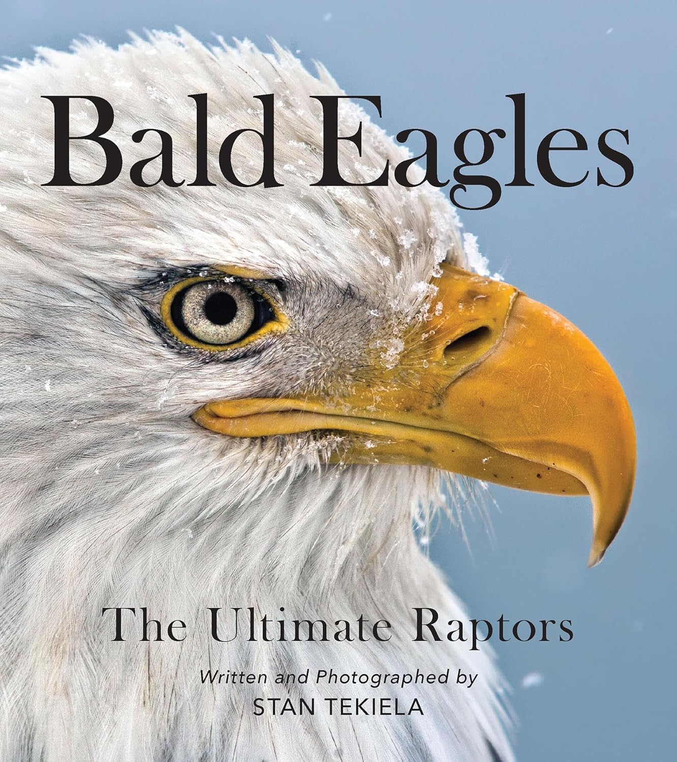 Bald Eagles: The Ultimate Raptors (Favorite Wildlife) - Image 1
