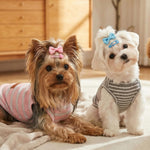 Puppy wearing soft cotton breathable pet vest