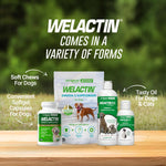 Veterinarian recommended Welactin canine 120 softgels supplement bottle close up.