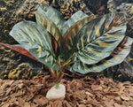 Heavy resin base of FLmoving reptile tank decor
