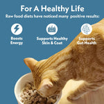 Fresh Is Best USDA chicken raw food formula for kittens and adult cats