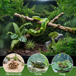Two artificial fern plants for gecko and chameleon habitat decor