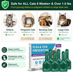 Six dose pack of imported PetArmor cat flea protection liquid