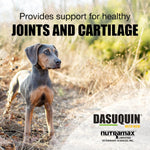 Nutramax Dasuquin chewable tablets eighty-four count joint health care packaging side view