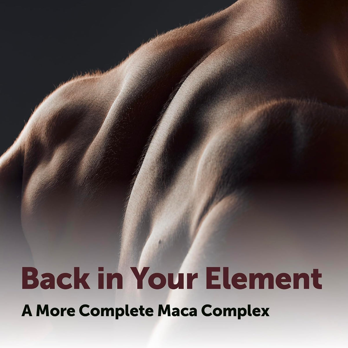 Micro Ingredients Maca Root Complex softgel capsule texture view