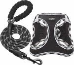 Haapaw small medium dog harness set with padded handle rope leash