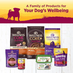Wellness Complete Health Petite Entrees three ounce cups display for small adult dogs