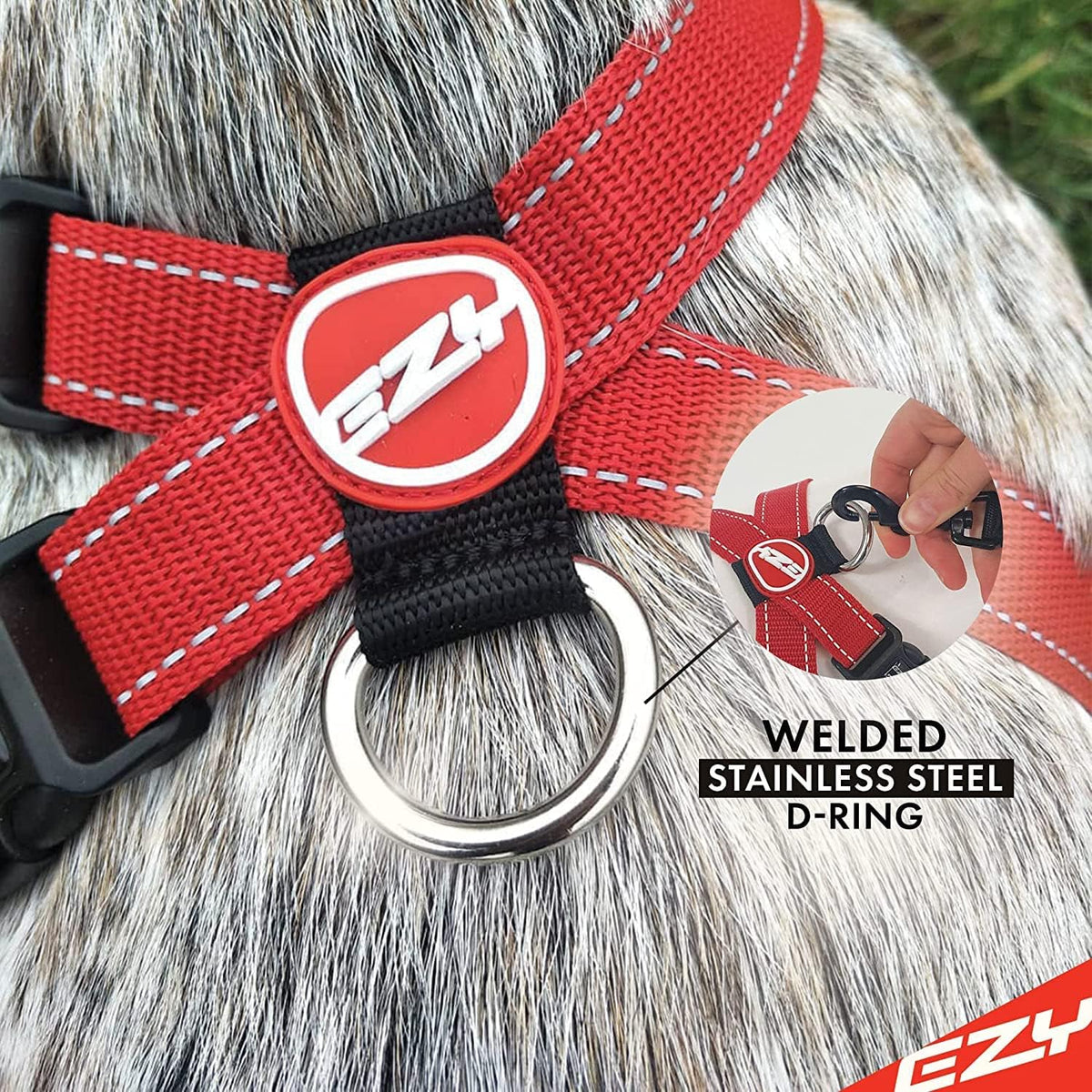 EzyDog black chest plate harness rust proof D-ring