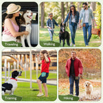 ETIAL outdoor training food pouch attached securely to a durable dog walking leash setup.