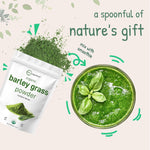 Micro Ingredients organic barley grass powder lifestyle smoothie mix
