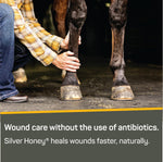 Side view of 2 Ounce Silver Honey animal wound ointment tube
