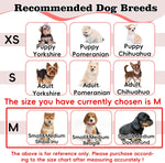Adjustable protective dog recovery cone with secure velcro closure demonstration