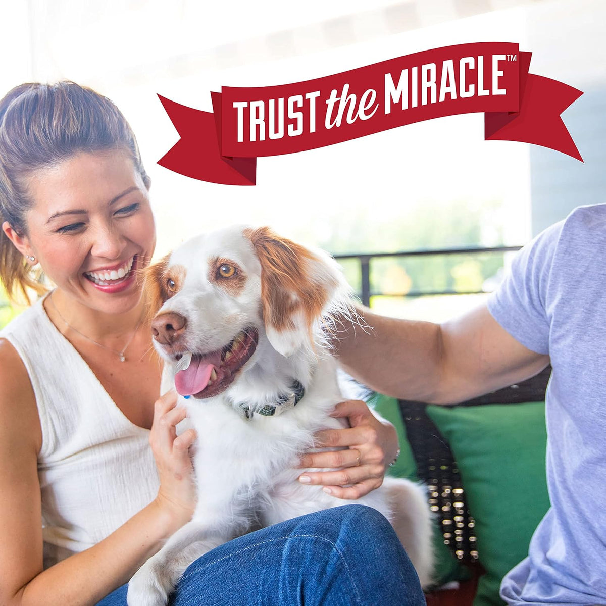 Close up of Nature's Miracle puppy potty training spray bottle