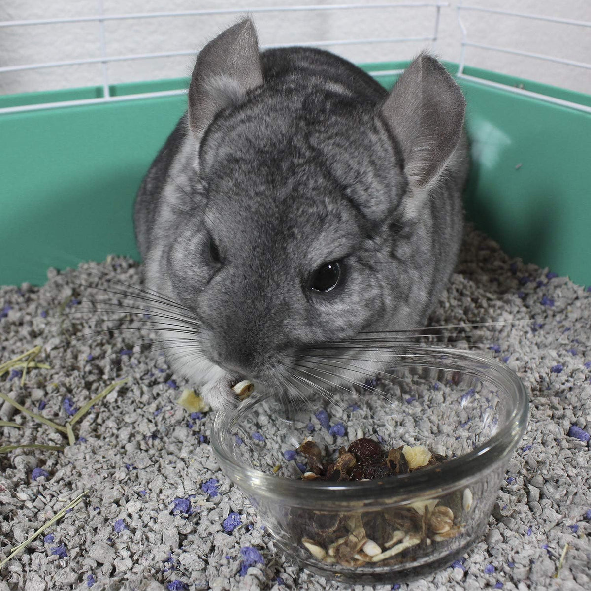 Vitakraft Cocktail Mixed Fruit Chinchilla Treat, 4.5 oz - Image 9