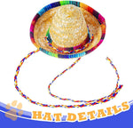 Close up of Ramede miniature straw sombrero hat for pets