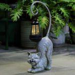 Hapyard Laughing Cat outdoor statue illuminated at night