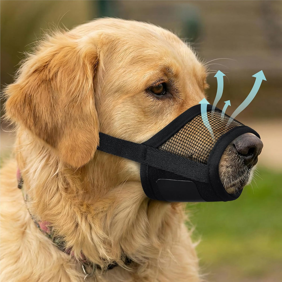 Evollax dog muzzle for large dogs front view showing the breathable black air mesh fabric structure.