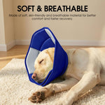 Premium imported dog recovery collar for wound care management