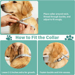 Flea and Tick Collar for Dogs, 6 Pack Natural Flea and Tick Prevention for Dogs in a Waterproof Design with Natural Essential Oils, Adjustable Multi-Pest Repellent Collar for All Dog Sizes - Image 9