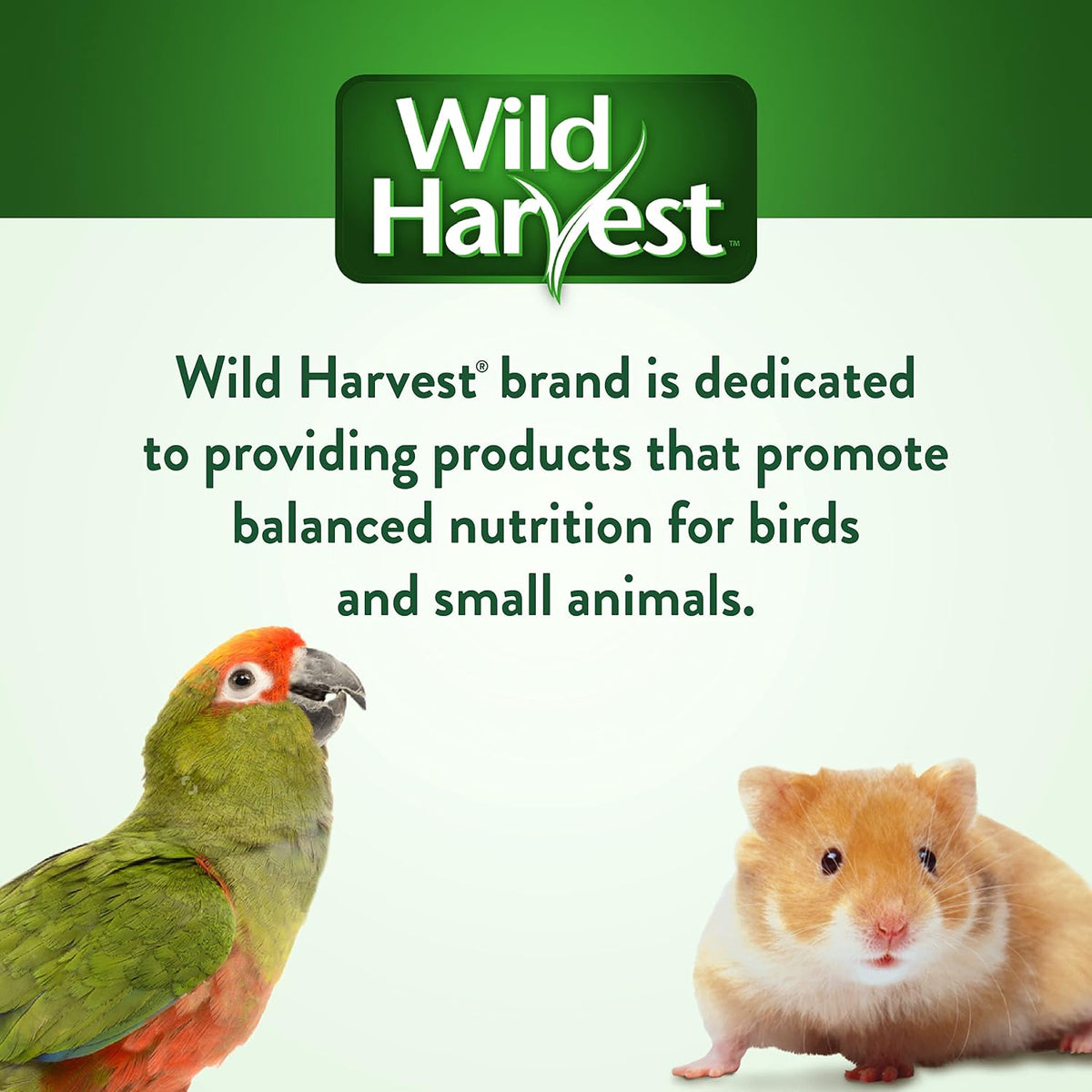 Wild Harvest Stuffed Logz ingredients list and safety details on packaging back
