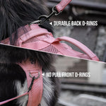 Stainless steel front no pull D ring on OneTigris medium dog vest