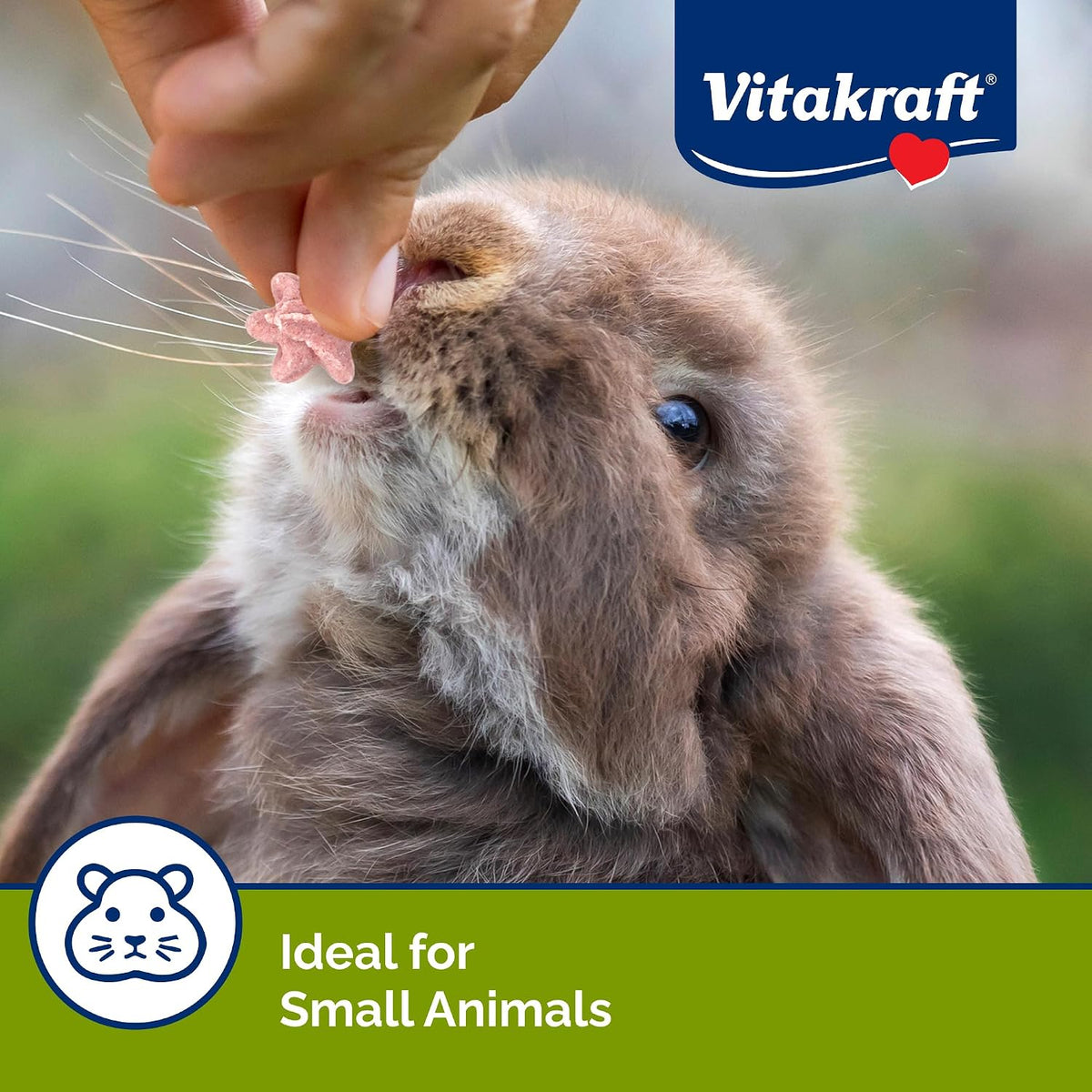 USA imported Vitakraft small animal rewards for chinchillas and hamsters