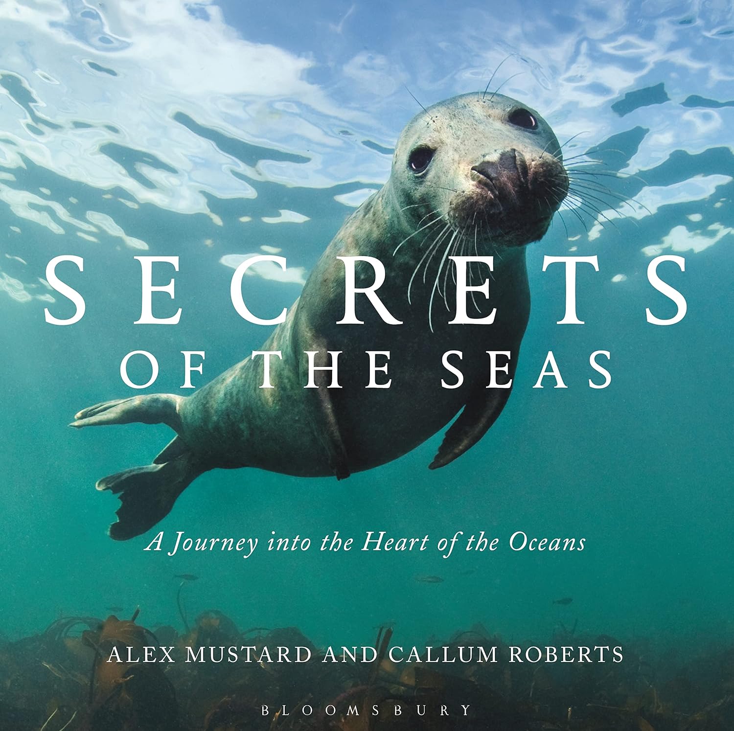 Secrets of the Seas: A journey into the heart of the oceans - Image 1